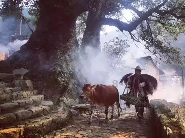 数码宝贝8